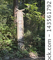 靜岳登山步道標誌 143561792