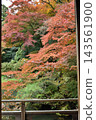 Shoren-in Temple: A view of Soami's garden from the Kogosho (small palace) in autumn (Higashiyama Ward, Kyoto City) 143561900