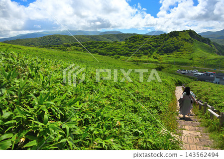 從北海道積丹半島神威岬的觀景台下來,來到擠滿遊客的停車場-北海道積丹町(2) 從北海道積丹半島神威岬的觀景台下來,來到擠滿遊客的停車場-北海道積丹町(2) 143562494