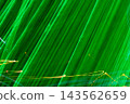 Emerald green light streaks abstract background 143562659
