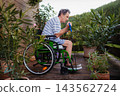 Senior man in wheelchair exercising with resistance band on terrace. 143562724