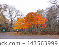 Autumnal leaves 143563999