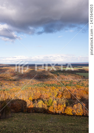 從北海道中標津町幸代台眺望的景色 從北海道中標津町幸代台眺望的景色 143564003