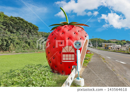 草莓巴士站 草莓巴士站 143564618