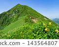 Gunma Prefecture, Minakami Town, Tanigawadake Horseshoe Traverse Route, Mount Takenodake and Nikko Daylilies 143564807