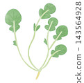An illustration of the seven spring herbs, specifically the henbit (Lamium amplexicaule), in a watercolor style. 143564928