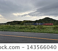 色彩繽紛的當地火車穿梭於鬱鬱蔥蔥的山村和鄉村風光之間 143566040