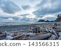 Pacific Ocean coast near Olympic National Park 143566315