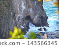 北海道積丹半島積丹岬海岸線及海浪拍岸的景色 - 北海道積丹町 (2) 143566345