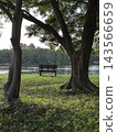 公園長椅俯瞰池塘；綠樹環繞，是放鬆身心的好去處。 143566659