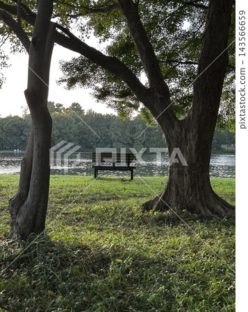 公園長椅俯瞰池塘;綠樹環繞,是放鬆身心的好去處。 公園長椅俯瞰池塘;綠樹環繞,是放鬆身心的好去處。 143566659