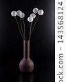Bouquet of white balloons in a brown vase against a black background 143568124