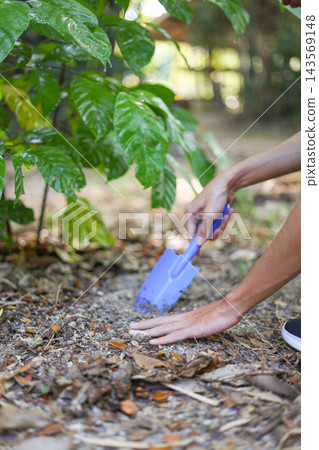 A man using a small blue hand trowel to tend to the soil around a young coffee tree. A man using a small blue hand trowel to tend to the soil around a young coffee tree. 143569148