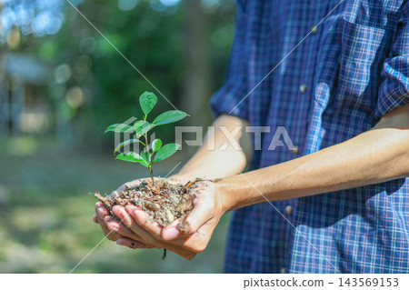 Hands holding a small plant sapling in soil, ready for planting. Concept for environmental protection, sustainability and reforestation efforts. Hands holding a small plant sapling in soil, ready for planting. Concept for environmental protection, sustainability and reforestation efforts. 143569153