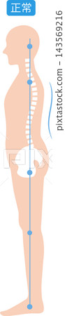 Correct posture: Whole body, spine and pelvis Correct posture: Whole body, spine and pelvis 143569216