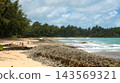Natural beaches in tropical regions 143569321