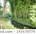 吉維尼，莫奈花園，莫奈池塘 143570774