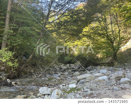 銀牙紅葉露營地,四周環繞著鬱鬱蔥蔥的天然溪流,陽光透過樹木灑下斑駁的光影。 銀牙紅葉露營地,四周環繞著鬱鬱蔥蔥的天然溪流,陽光透過樹木灑下斑駁的光影。 143571985