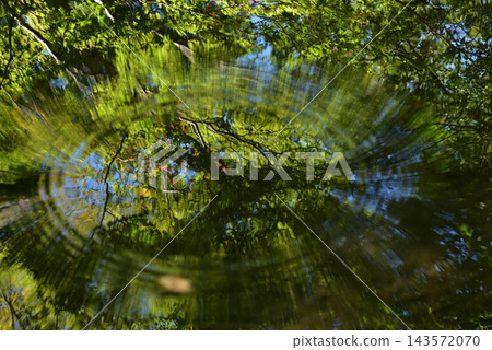 A forest landscape reflected on the water's surface with ripple patterns; a water mirror scene; abstract landscape; background material. A forest landscape reflected on the water's surface with ripple patterns; a water mirror scene; abstract landscape; background material. 143572070