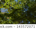 A forest landscape reflected on the water's surface with ripple patterns; a water mirror scene; abstract landscape; background material. 143572071