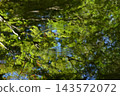 A forest landscape reflected on the water's surface with ripple patterns; a water mirror scene; abstract landscape; background material. 143572072