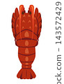 Ise shrimp illustration 143572429