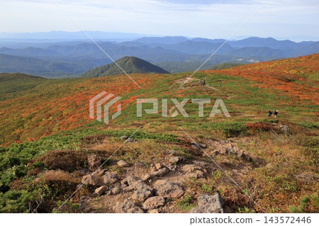 栗駒山的秋葉美景 栗駒山的秋葉美景 143572446