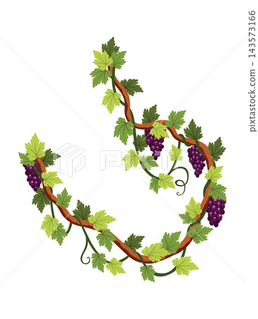 Grape bunch. Cluster of berries and leaves. Grape vine, decorative climbing plant. Fruit, growing healthy food isolated on white background 143573166