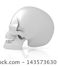 3D human skull on white background 143573630
