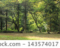 新鮮綠色公園的風景 143574017