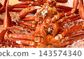 新潟縣新潟市魚市上，新鮮的紅雪蟹整齊地排列著。 143574340