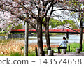 Senior men watching the cherry blossoms 143574658