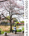 Senior men watching the cherry blossoms 143574660