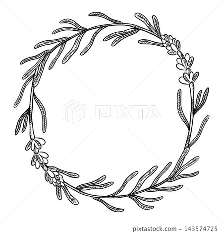 Herbs and flowers for natural cosmetics design. A set of vector illustrations for packaging, advertising, and cosmetic design Herbs and flowers for natural cosmetics design. A set of vector illustrations for packaging, advertising, and cosmetic design 143574725
