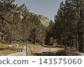 Mountain Pine Forest Trail Through Stone Gateway On Sunny Summer Day 143575060