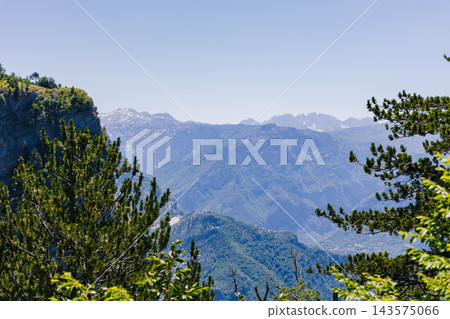 Alpine Mountain Panorama Over Lush Pine Forest and Deep Valley Under Clear Blue Sky Alpine Mountain Panorama Over Lush Pine Forest and Deep Valley Under Clear Blue Sky 143575066
