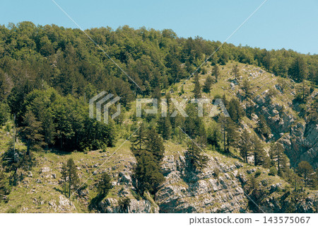 Sunlit Mountain Forest And Rocky Hillside With Scattered Pine Trees Under Blue Sky Sunlit Mountain Forest And Rocky Hillside With Scattered Pine Trees Under Blue Sky 143575067