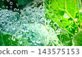 Spider web's drop of water 143575153