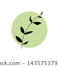 Botanical silhouette icon of branches and leaves (with a light green circular background) 143575379