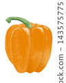 Crayon-style vegetable and fruit series: "Paprika (Orange)" 143575775