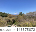 秋天的富士山 143575872