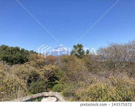 秋天的富士山 秋天的富士山 143575872