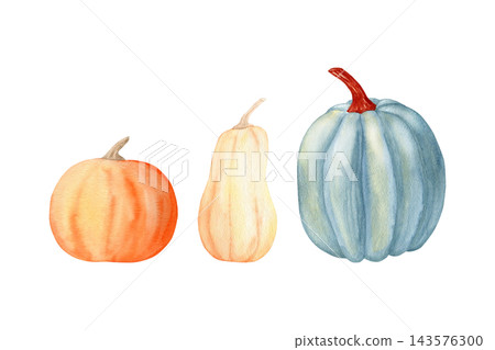 Orange, beige and blue pumpkins watercolor isolated illustration set. Hand drawn botanical gourds clipart for Thanksgiving, autumn holidays, fall design and rustic greeting cards. Detailed drawing. Orange, beige and blue pumpkins watercolor isolated illustration set. Hand drawn botanical gourds clipart for Thanksgiving, autumn holidays, fall design and rustic greeting cards. Detailed drawing. 143576300