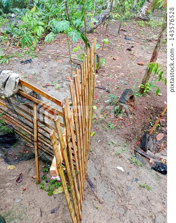Bamboo Fence In Muddy Tropical Garden Yard Bamboo Fence In Muddy Tropical Garden Yard 143576528