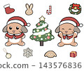 Exciting Christmas (Holland Lop) 143576836