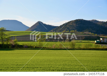 鄉村景觀 143577116