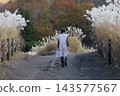 The back view of a woman walking through pampas grass. 143577567