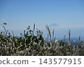 從富士見高原創意森林展望台上看到的富士山 143577915