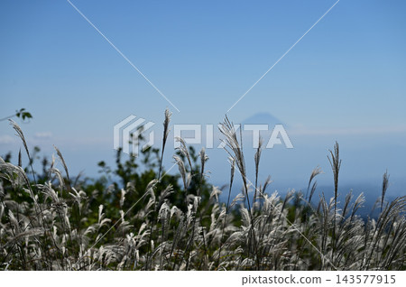 從富士見高原創意森林展望台上看到的富士山 143577915