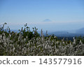 從富士見高原創意森林展望台上看到的富士山 143577916